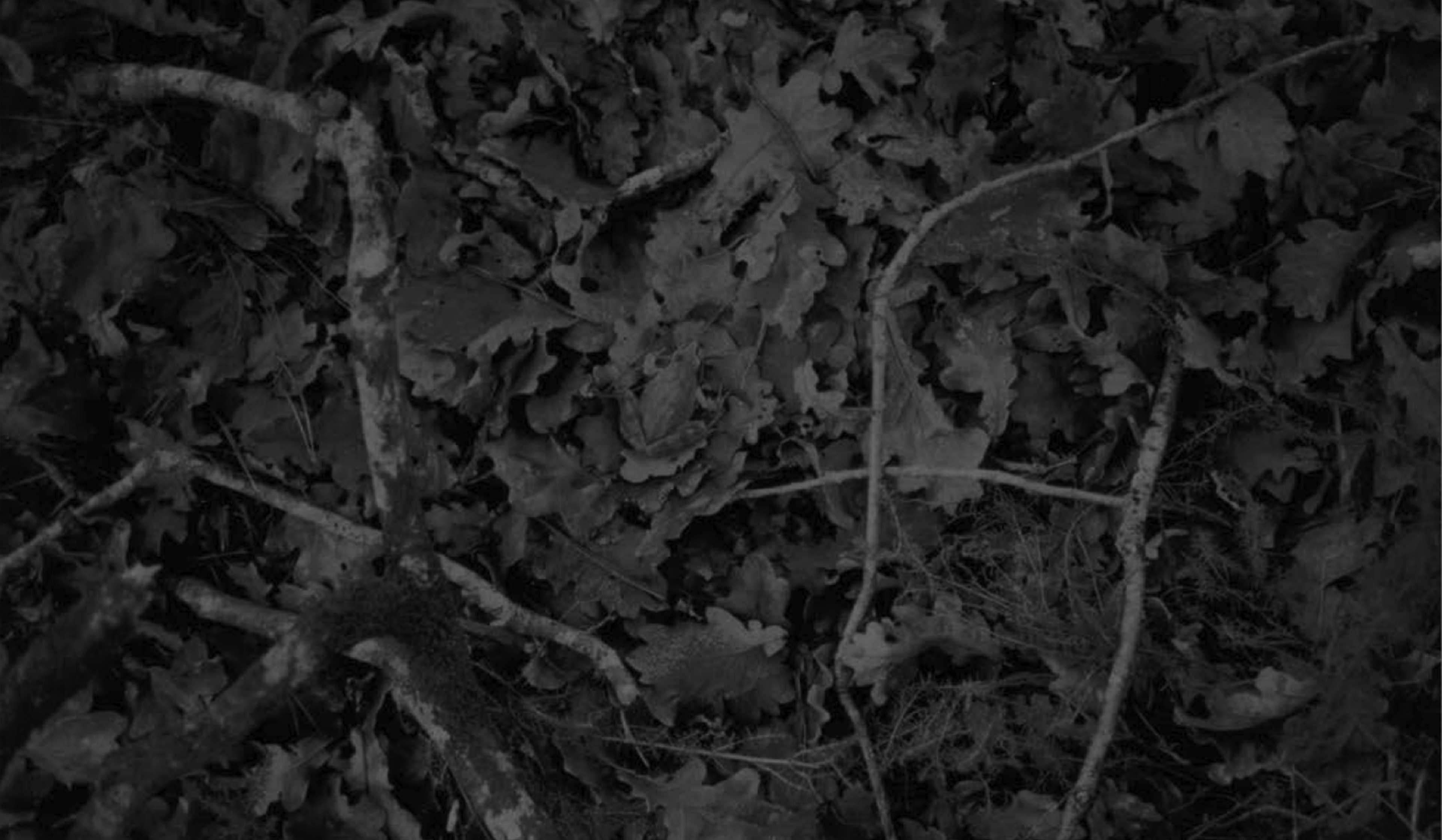 Photographie d'Hubert Lebaudy exposée au Jardin des Cinq Sens à Blois 