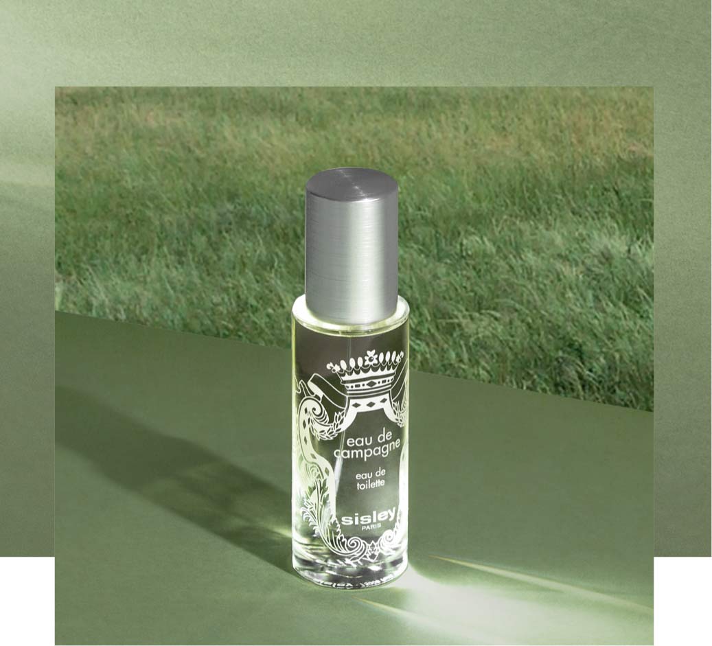 L’iconique Sisley