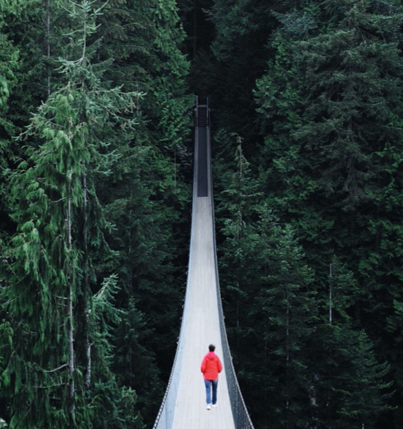 Cross the lines