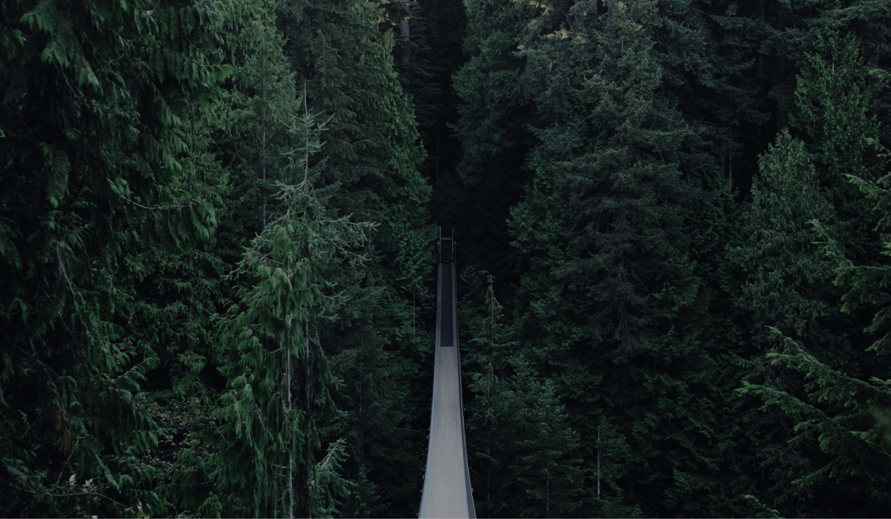 Trois Cinq Friedland