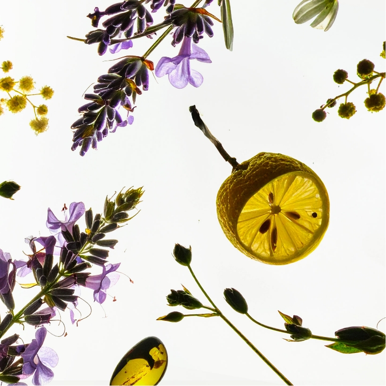Lavande, mimosa, vervaine, citron, feuilles vertes