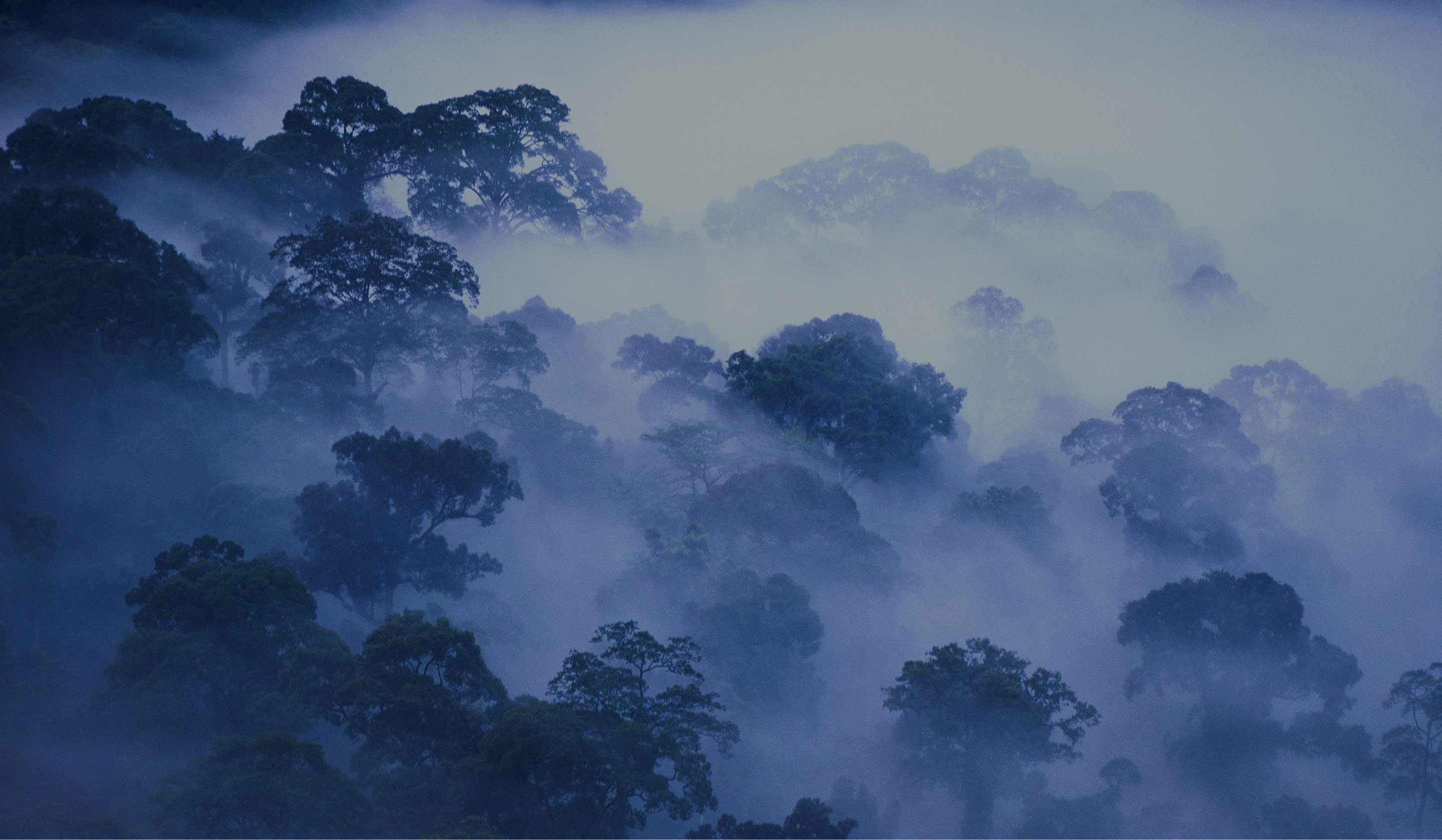 Trois Cinq Friedland