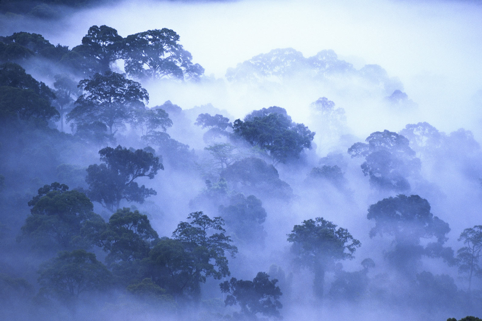 Philippe Bourseiller
