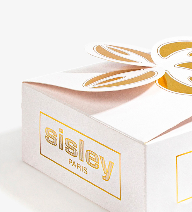 Descubre tus promociones exclusivas