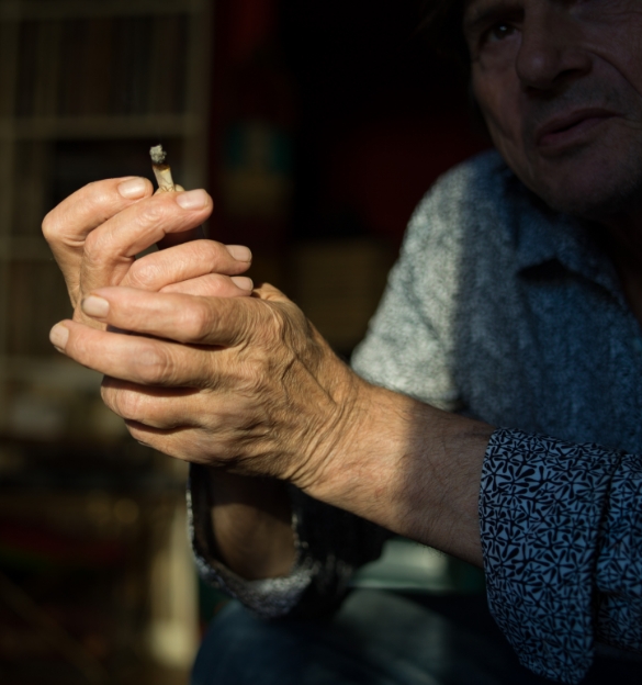 Zo&eacute; Bernardi | Les mots de la tribu