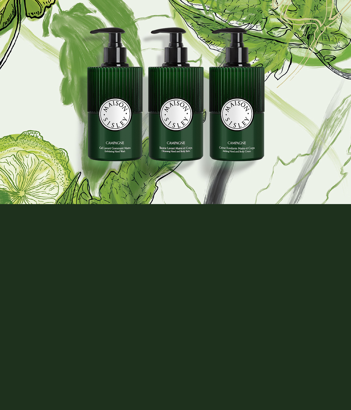 THE MAISON SISLEY COLLECTION